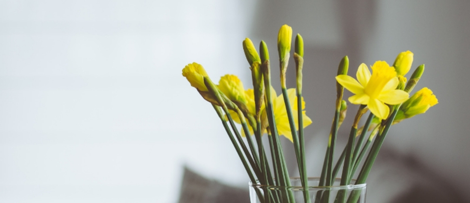 tips til mere lyst hjem